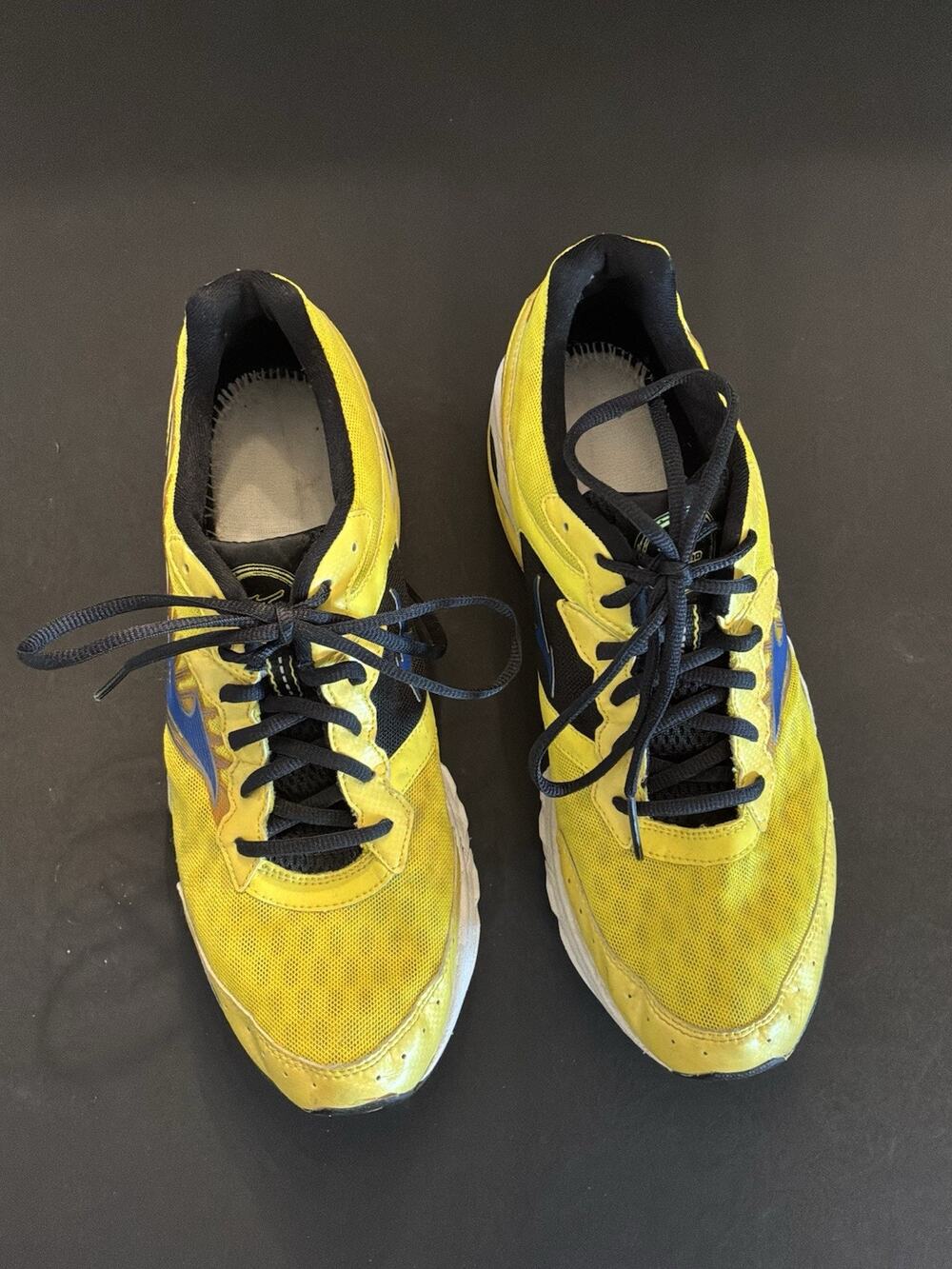 Men’s Mizuno Wave Rider Running Shoe Size 10